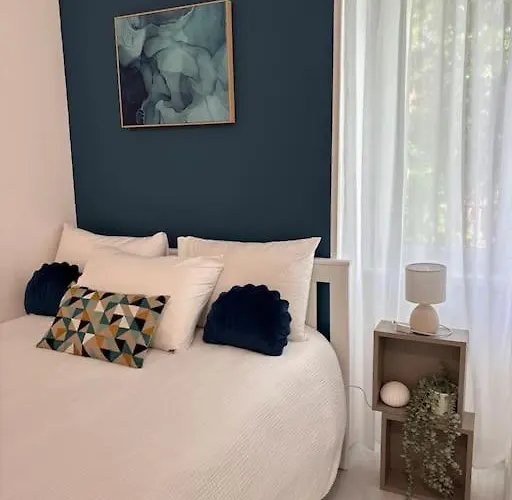 Appartement Tout Equipe Centre Mulhouse